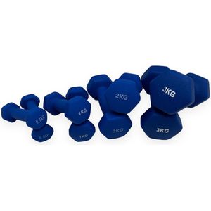 Padisport - Dumbell Neopreen Set 0,5 En 1 En 2 - Gewichten Set Halters - Blauw - Gewichten 3 Kg - Dumbellset - Halterset - Gewichtjes Set 1 Kg - Gewichten Set 0,5 Kg
