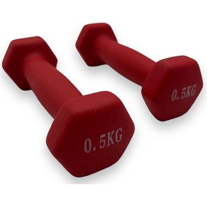Padisport - Dumbells 0.5 Kg - Halter - Gewichten Set Halters - Gewichten 0.5 Kg - Rood - Gewichten - Dumbells - Halters - Gewichtjes 0.5 Kg