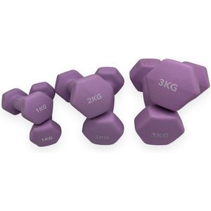 Padisport dumbellset paars - gewichten set - gewichten set halters - dumbells set - Gewichten 1 Kg - Dumbellset - Halterset - Gewichtjes Set 2 kg - Paars