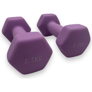 Padisport - Dumbells 2.5 Kg - Halter - Gewichten Set Halters - Gewichten 2.5 Kg - Paars - Gewichten - Dumbells - Halters - Gewichtjes 2.5 Kg