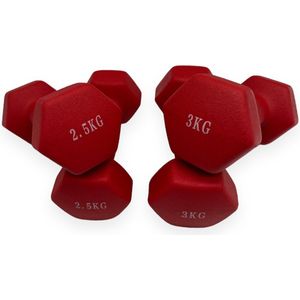 Padisport - Dumbell Neopreen Set 3 En 2,5 - Gewichten Set Halters - Rood - Gewichten 2,5 Kg - Dumbellset - Halterset - Gewichtjes Set 3 Gewichten Set 2,5 Kg