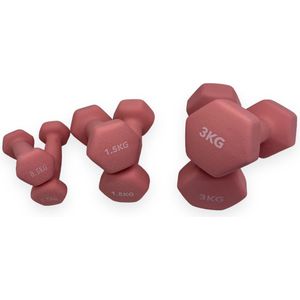 Padisport Dumbells Roze 0,5 En 1,5 En 3 Kg - Dumbells 3 Kg - Gewichten Set Halters - Gewichten Set - Gewichten Set Dumbbell - Dumbells Set - Dumbells - Dumbbells - Halters - Dumbell - Fitness Gewichten - Gewichten - Dumbellset - Gewichtjes Set