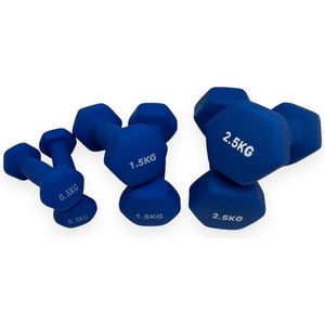 Padisport - Dumbell Neopreen Set 1,5 En 2,5 - Gewichten Set Halters - Blauw - Gewichten 1,5 Kg - Dumbellset - Halterset - Gewichtjes Set 1,5 Gewichten Set 2,5 Kg