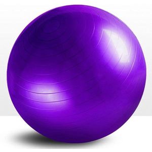 Padisport - Yoga bal - 75 cm - zwangerschapsbal - yoga bal inclusief pomp - fitnessbal - pilates bal - yoga bal paars - yoga bal 75 cm - yoga - fitness - paars