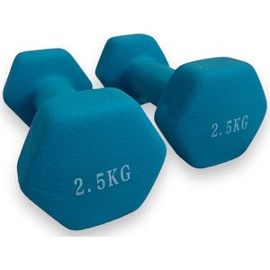Padisport - Dumbells 2.5 Kg - Halter - Gewichten Set Halters - Gewichten 2.5 Kg - Blauw - Gewichten - Dumbells - Halters - Gewichtjes 2.5 Kg