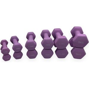 Padisport - Gewichten Set - Gewichten Set Halters - Dumbells Set - 0,5 T/m 3 Kg - Paars - Gewichten - Dumbellset - Halterset - Gewichtjes Set - Dumbells 3 Kg - Gewichtjes 0,5 Kg