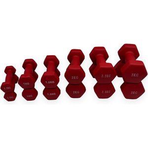 Padisport - Dumbell Neopreen Set 0,5 Tm 3 - Gewichten Set Halters - Rood - Gewichten 3 Kg - Dumbellset - Halterset - Gewichtjes Set 2,5 Gewichten Set 3 Kg