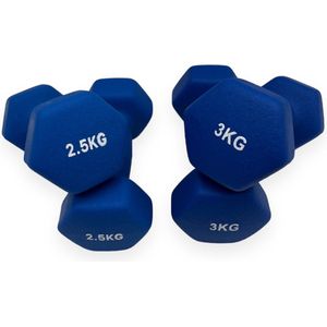 Padisport - Dumbell Neopreen Set 3 En 2,5 - Gewichten Set Halters - Blauw - Gewichten 2,5 Kg - Dumbellset - Halterset - Gewichtjes Set 3 Gewichten Set 2,5 Kg