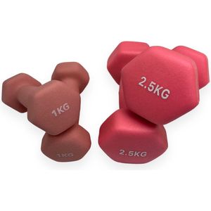 Padisport dumbells roze 1 en 2,5 kg - gewichten set halters - gewichten set - gewichten set dumbbell - dumbells set - dumbbells - halters - dumbell - fitness gewichten - Gewichten - dumbellset - gewichtjes set - sport gewichten voor thuis