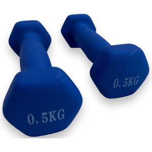 Padisport - Dumbells 0.5 Kg - Halter - Gewichten Set Halters - Gewichten 0.5 Kg - Blauw - Gewichten - Dumbells - Halters - Gewichtjes 0.5 Kg