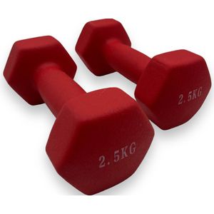 Padisport - Dumbells 2.5 Kg - Halter - Gewichten Set Halters - Gewichten 2.5 Kg - Rood - Gewichten - Dumbells - Halters - Gewichtjes 2.5 Kg