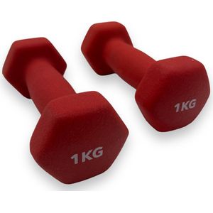 Padisport - Dumbells 1 Kg - Halter - Gewichten Set Halters - Gewichten 1 Kg - Rood - Gewichten - Dumbells - Halters - Gewichtjes 1 Kg