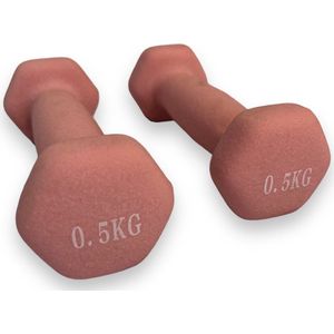 Padisport - Dumbells 0,5 Kg - Halter - Gewichten Set Halters - Gewichten 0,5 Kg - Roze - Gewichten - Dumbells - Halters - Gewichtjes 0,5 Kg