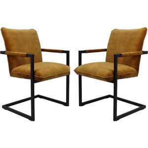 Eetkamerstoelen - Set van 2 - Eetkamerstoelen met armleuning - Eetkamerstoel - Velvet - Goud