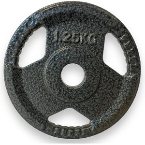 Padisport - 2 X 1.25 Kg - 30 Mm - Olympische Halterschijven - Gietijzer - Olympische Gewichten - Halterschijven Gietijzer - Halterschijf - Halterschijven 30 Mm