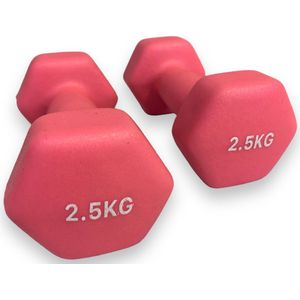 Padisport - Dumbells 2,5 Kg - Halter - Gewichten Set Halters - Gewichten 2,5 Kg - Roze - Gewichten - Dumbells - Halters - Gewichtjes 2,5 Kg