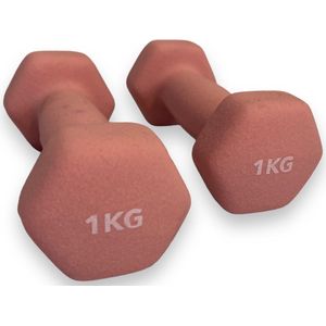 Padisport - Dumbells 1 Kg - Halter - Gewichten Set Halters - Gewichten 1 Kg - Roze - Gewichten - Dumbells - Halters - Gewichtjes 1 Kg