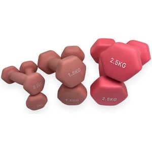 Padisport - Dumbell Neopreen Set 0,5 En 1,5 En 2,5 - Gewichten Set Halters - Roze - Gewichten 1,5 Kg - Dumbellset - Halterset - Gewichtjes Set 2,5 Kg - Gewichten Set 0,5 Kg