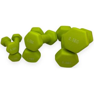 Padisport - Dumbell Neopreen Set 0,5 En 1,5 En 2,5 - Gewichten Set Halters - Groen - Gewichten 2,5 Kg - Dumbellset - Halterset - Gewichtjes Set 2,5 Kg - Gewichten Set 0,5 Kg