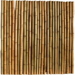 Bamboescherm 180 x 180 cm - Naturel - Extra | (H)180 x (B)180 cm