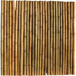 Bamboescherm 200 x 180 cm - Naturel - Extra | (H)200 x (B)180 cm