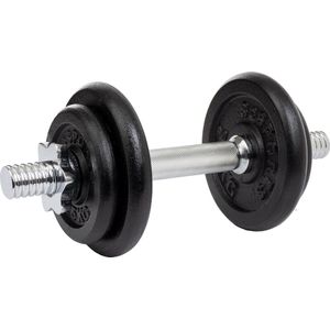 Halter - Halterstang - Dumbbell - Dumbbells - Halters - Dumbells 10 kg - 10 kg - Gietijzer - Zwart - Zilver - 16.5 x 2.3 cm