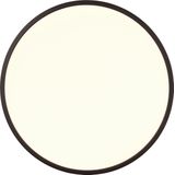 Trion - Skiff - LED Plafondlamp - Mat Zwart - 30W - Dimbaar - Afstandsbediening