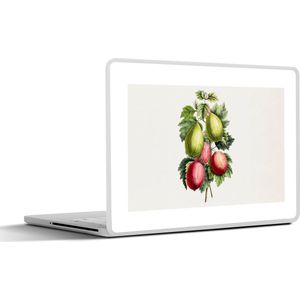 Laptop sticker - 14 inch - Eten - Vijgen - Gezond - 32x5x23x5cm - Laptopstickers - Laptop skin - Cover