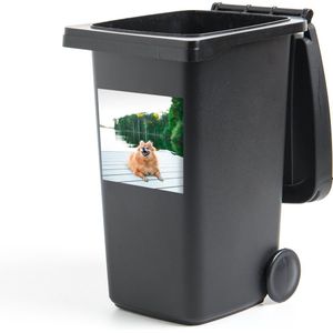 Container sticker Pomeriaan ligt op steiger - 40x40 cm - Kliko sticker