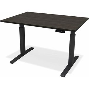 Elektrisch verstelbare zit / sta tafel, electrisch verstelbaar bureau met de afmeting 160 x 80 cm. Onderstel zwart. Blad naar keuze.