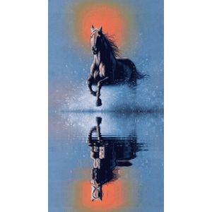 Diamond Painting Pakket - Paard in spiegel - 50x60 cm - Complete Set - Volledige Bedekking - Ronde Steentjes