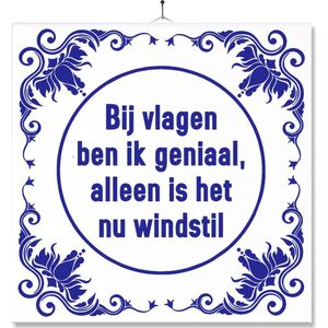 Tegel Met Opdruk | Grappig | Humor | Verjaardag kado | Toilet WC | Bij vlagen ben ik geniaal