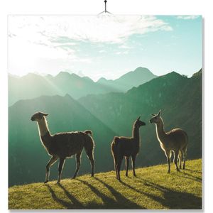 Tegel Met Opdruk | Cadeau | Verjaardag kado | Alpacas