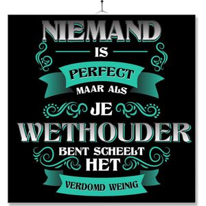 Tegel Met Opdruk | Kado | Cadeau | Niemand Is Perfect | Beroep | Wethouder