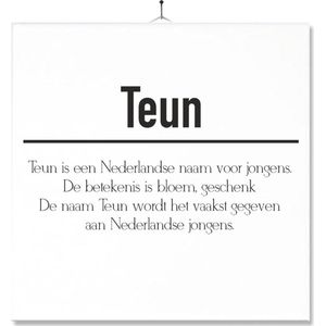 Tegel Met Opdruk | Betekenis | Kado | Cadeau | Met Naam - Teun