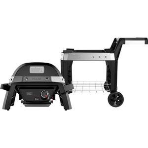 Weber Pulse 1000 + Weber Pulse Untergestell
