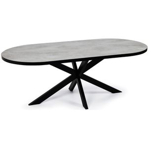 Stalux Plat ovale eettafel 'Noud' 180 x 100, kleur zwart / beton