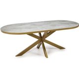 Stalux Plat ovale eettafel &apos;Noud&apos; 210 x 100, kleur goud | beton