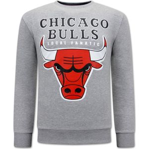 Chicago Bulls Heren Sweater - Grijs