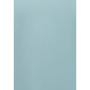 Poloshirt - Poloshirts Heren Korte Mouw - Poloshirt Heren - Slim Fit - A150 - Licht Blauw