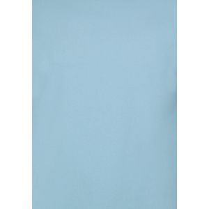 T shirt Heren Oversized - Effen T-shirt Blanco - 6530 - Bordeaux