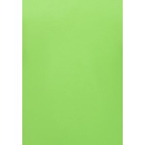 Polo Heren - Poloshirts Heren Korte Mouw - Herenpolo - Slim Fit - A150 - Mint Groen