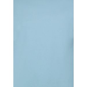 T shirt Heren Oversized - Effen T-shirt Blanco - 6530 - Blauw