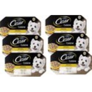 6x Cesar Cuisine Kuipje in Saus Multipack - Hondenvoeding - 600g