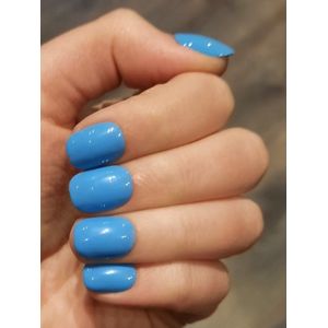 SD Press on Nails - B-61 - Plaknagels - Gelnagels - Handgemaakt - 20 stuks - Blauw - Nepnagels - Kort Naturel - Korte Nagels - Accessoires - Nagelstudio - Nail Art - Nagellijm - Gellak - Nageltips - Nails at Home - Nagels