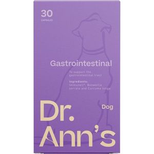 Dr. Ann's Gastrointestinal Support - 3 x 30 capsules