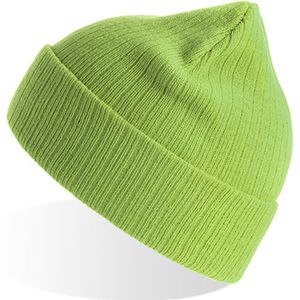 Atlantis 'Rio Beanie' Felgroen