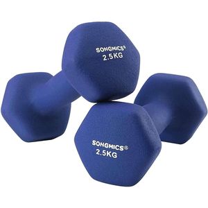 Rootz Dumbbells Set - 2,5 kg per Dumbell - Blauw Dumbells - Gewichten en Dumbbells - 2 Stuks