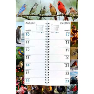 TOBJA Wandkalender 2026, groot, et feestdagen en vakanties, DE, AT
