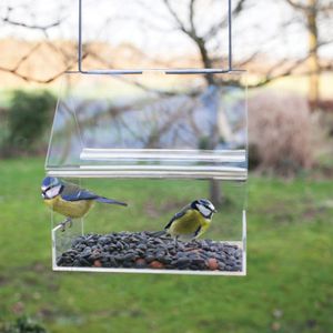 Acryl hangend voederhuisje 15 cm hoog - voederstation - voedersystemen - voederhanger - pinda - noten - metaal - acryl - tuinieren - tuinfiguur - tuindecoratie - tuinaccessoire - geschenk - cadeau - gift - vogelliefhebbers